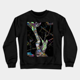 Tincoã & Guiné Crewneck Sweatshirt